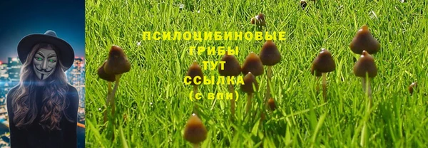 не бодяженный Зеленокумск