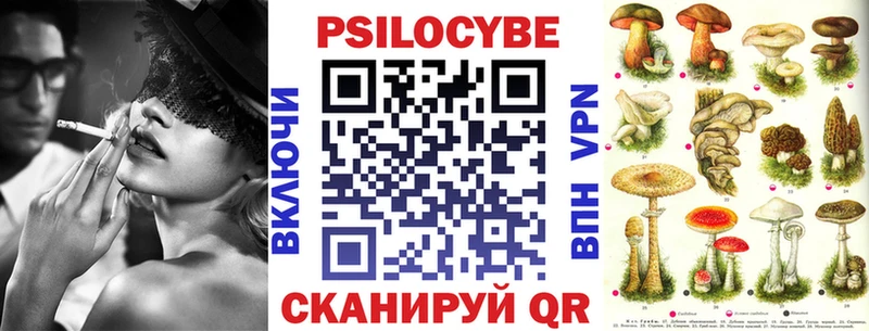 Купить где  Ядрин  Псилоцибиновые грибы Cubensis 