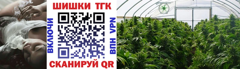 Купить закладки  Ядрин  Каннабис семена 